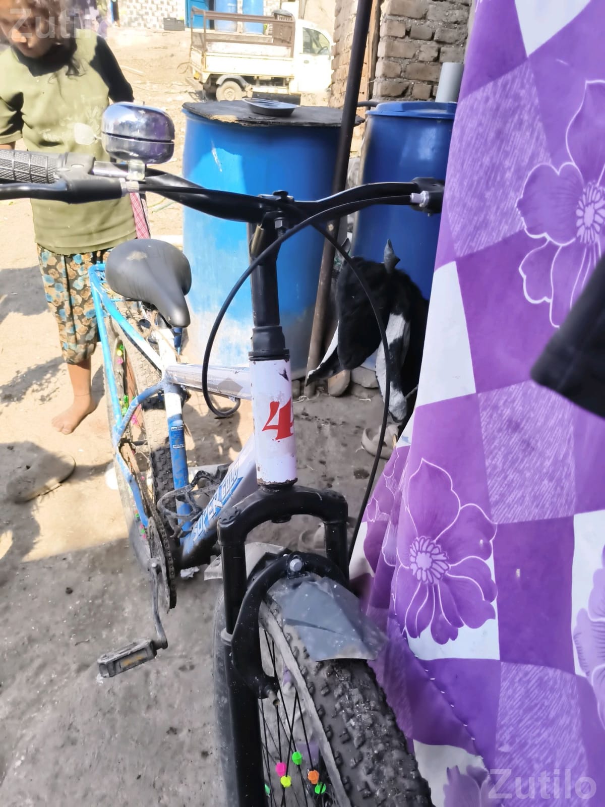 Super Gold Adult Bicycle - પુખ્ત વયના માટે સાયકલ - જામજોધપુર - Image 3