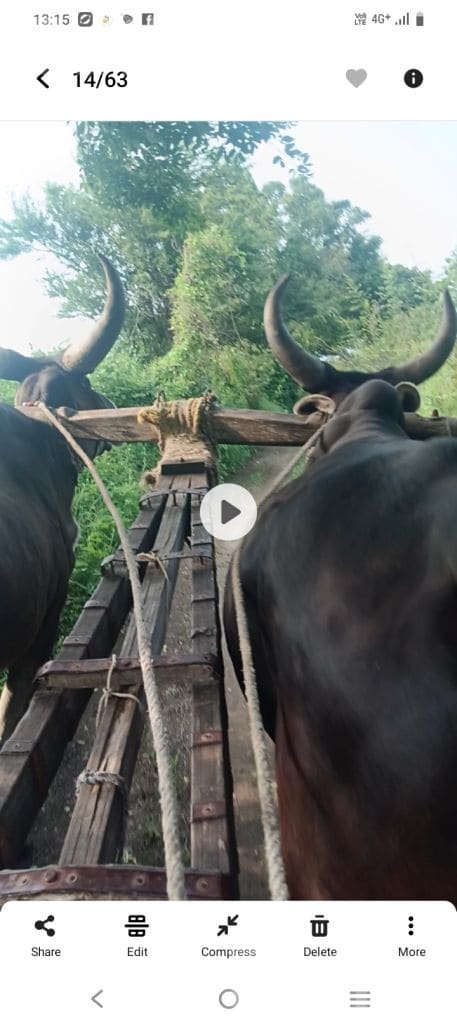 Agricultural Land for Sale in Jam Khambhalia - જમીન અને પ્લોટ - રાણપુર - Image 3