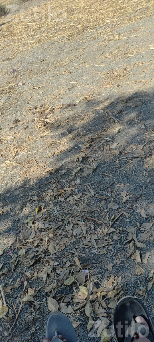 Land Plot Available in Sayla Taluka