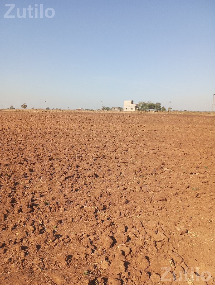 Agricultural Land for Sale in Rajpara - જમીન અને પ્લોટ - જામકંડોરણા - Image 2
