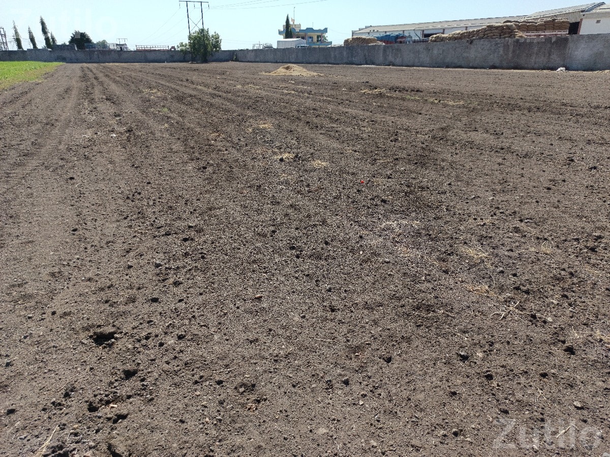 4 Bigha Open Land for Rent with Labour Quarter 4 Bigha Open Land for Rent with Labour Quarter