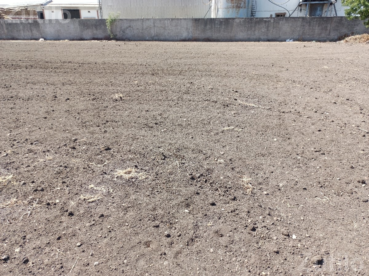 4 Bigha Open Land for Rent with Labour Quarter - Land & Plots - Tankara - Image 2