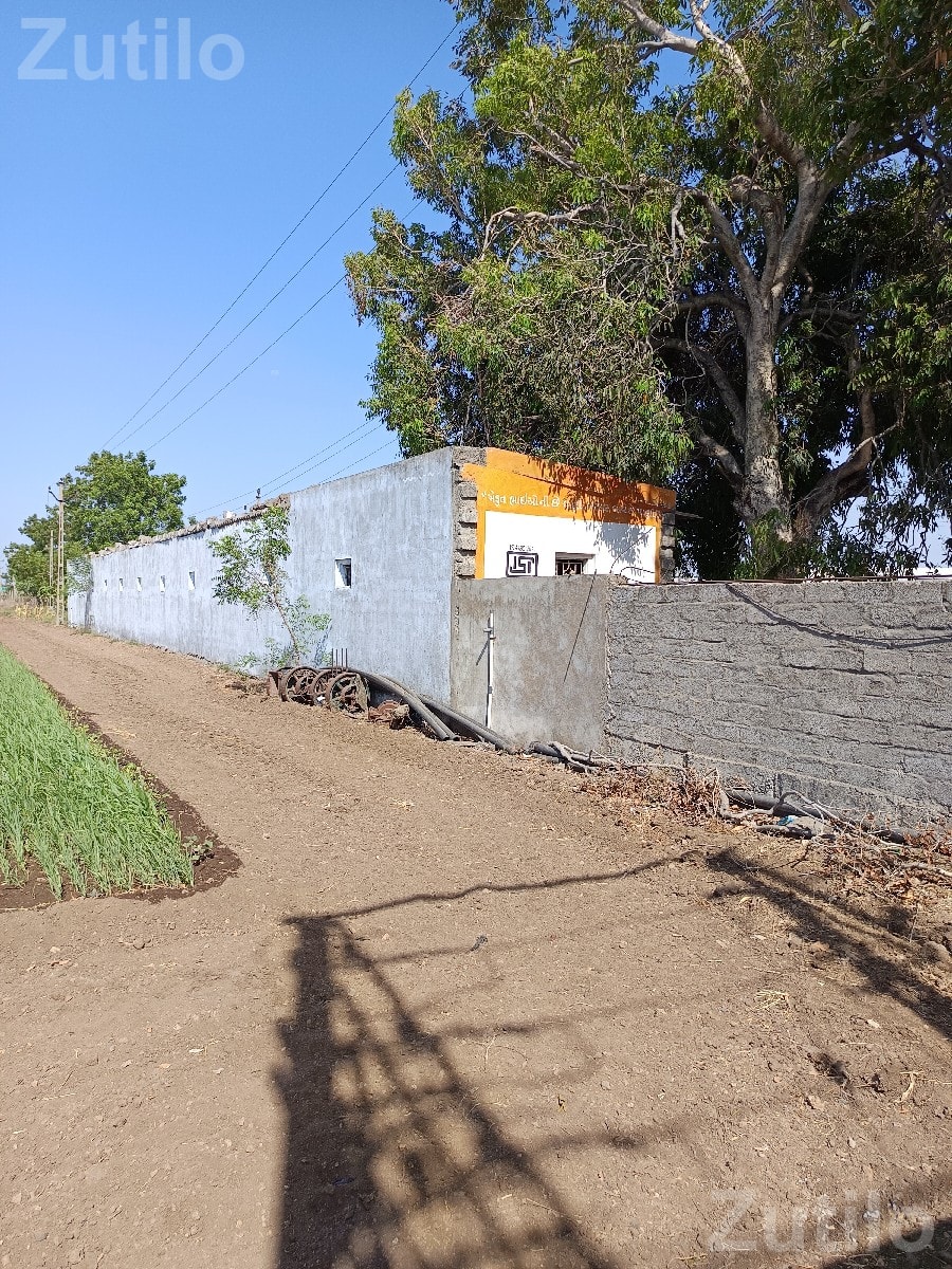 4 Bigha Open Land for Rent with Labour Quarter - Land & Plots - Tankara - Image 3