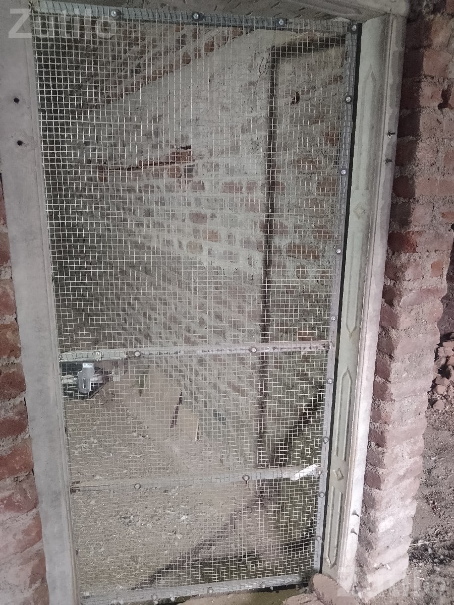 Metal Mesh Safety Door for Sale Metal Mesh Safety Door for Sale