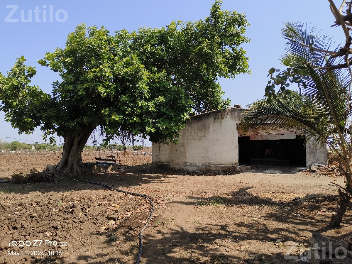 Agricultural Land for Sale with Well and Bore - જમીન અને પ્લોટ - જુનાગઢ - Image 3
