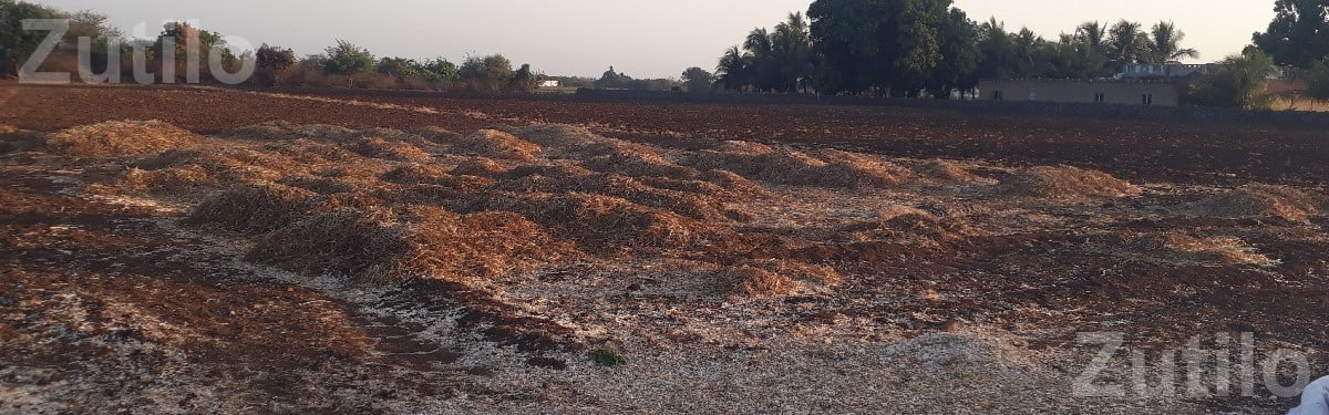 4 Vigha Agricultural Land for Sale