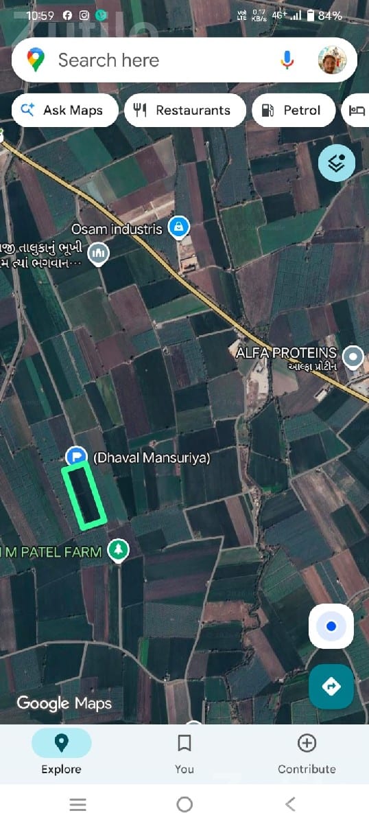 15 Vigha Agricultural Land for Sale in Kolki - Land & Plots - Upleta - Image 2