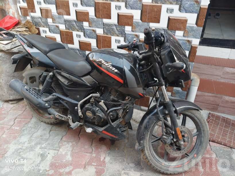 Bajaj Pulsar 125 2023 Bike for Sale - Bikes - Bavla - Image 2