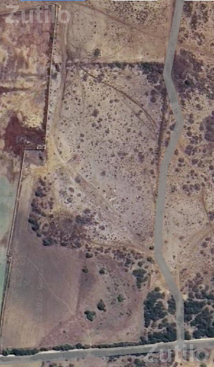 100 Bigha Agricultural Land for Sale