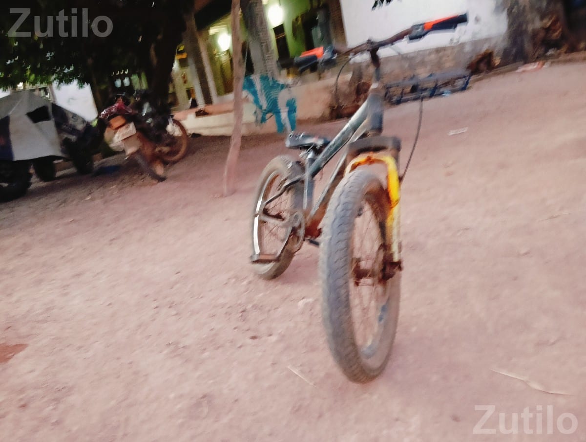 Fat Tyre Bicycle 3 Years Old