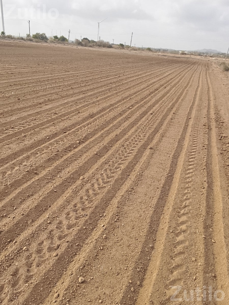 40 Vigha Agricultural Land on Share Basis - Land & Plots - Lalpur - Image 2