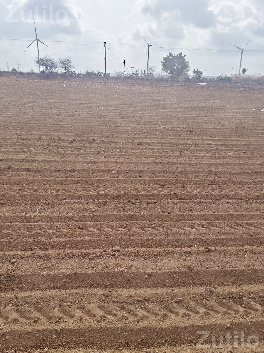 40 Vigha Agricultural Land on Share Basis - Land & Plots - Lalpur - Image 3