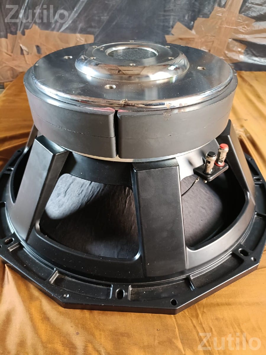 Large Audio Speaker Driver for Sound System - ઇલેક્ટ્રોનિક ઍક્સેસરીઝ - વિસાવદર - Image 2
