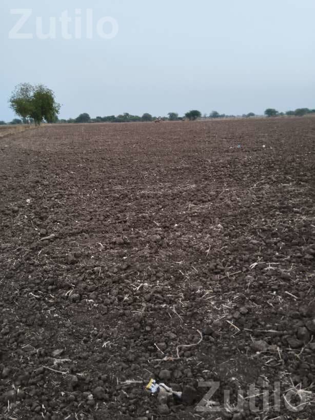 25 Vigha Road Touch Agricultural Land for Sale - જમીન અને પ્લોટ - ખાંભા - Image 3