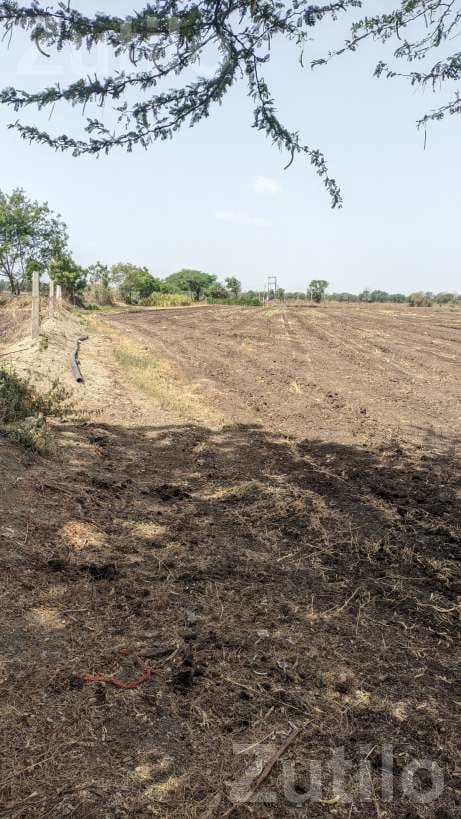 Agricultural Land 8 Vigha 5 Guntha with Well Agricultural Land 8 Vigha 5 Guntha with Well