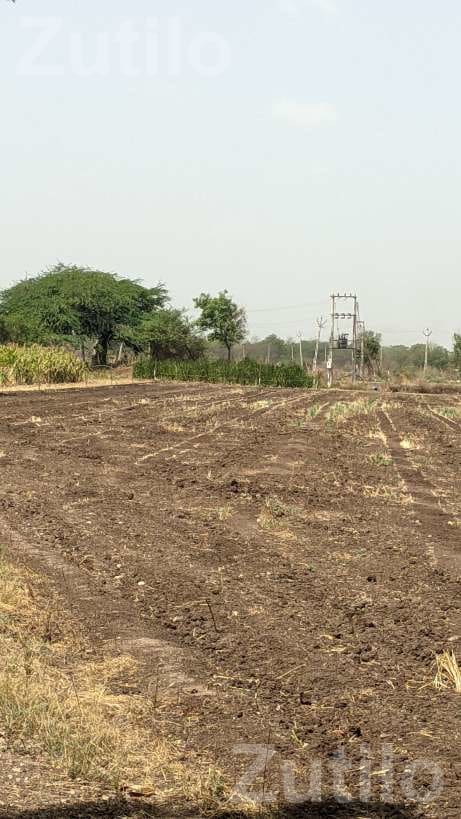Agricultural Land 8 Vigha 5 Guntha with Well - Land & Plots - Amreli City - Image 2