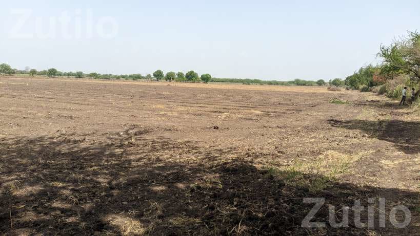 Agricultural Land 8 Vigha 5 Guntha with Well - Land & Plots - Amreli City - Image 3
