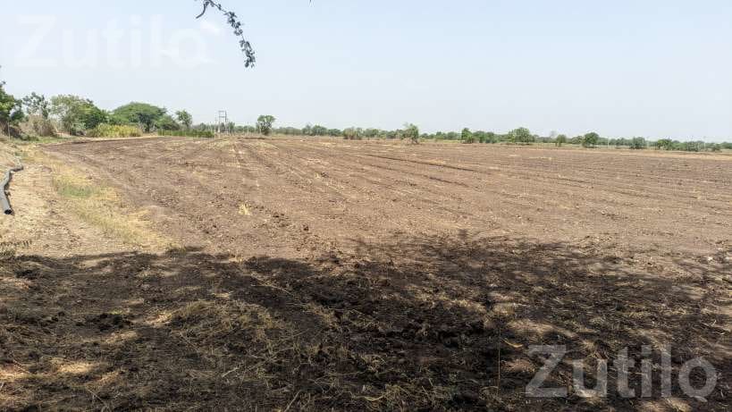 Agricultural Land 8 Vigha 5 Guntha with Well - Land & Plots - Amreli City - Image 4