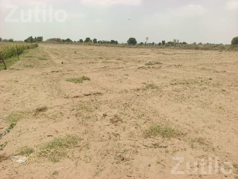 4 Acre Agricultural Land Near Main Highway - જમીન અને પ્લોટ - થરાદ - Image 3