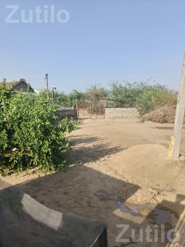 House for Sale with Open Space - ઘર વેચાણ માટે - વાવ - Image 2