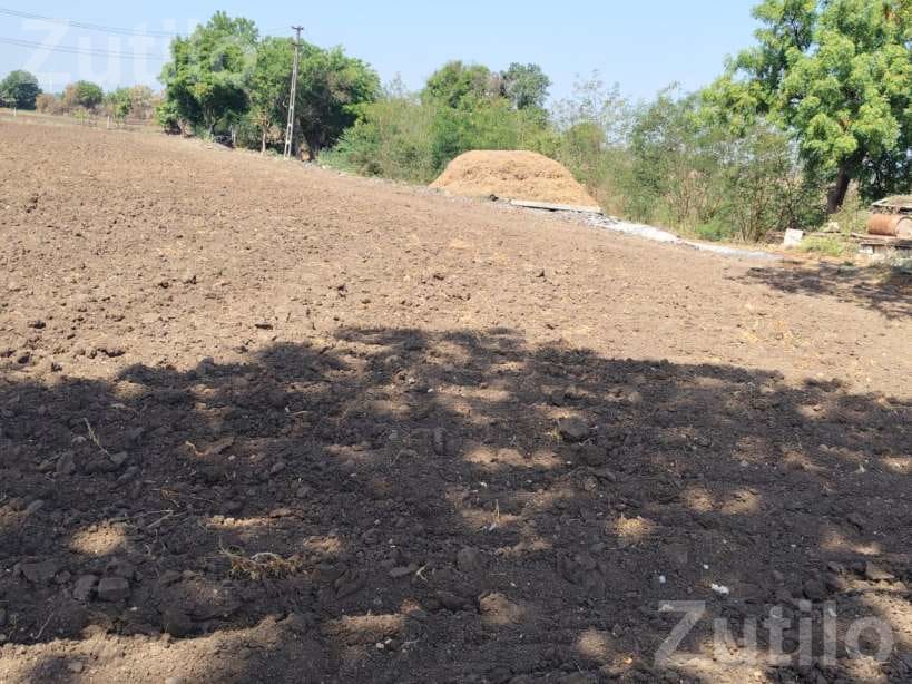 40 Vigha Agricultural Land with Farmhouse
