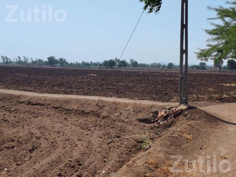 40 Vigha Agricultural Land with Farmhouse - જમીન અને પ્લોટ - જામજોધપુર - Image 2