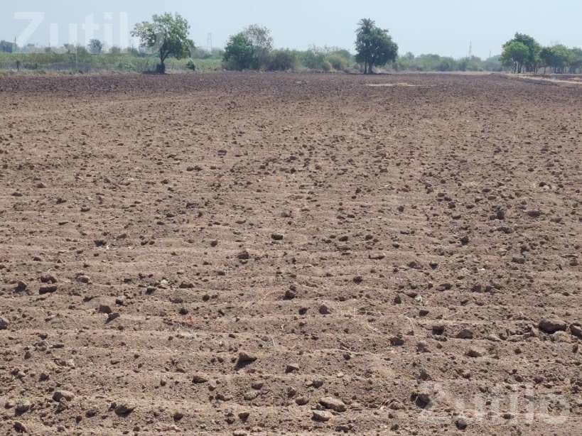 40 Vigha Agricultural Land with Farmhouse - જમીન અને પ્લોટ - જામજોધપુર - Image 3