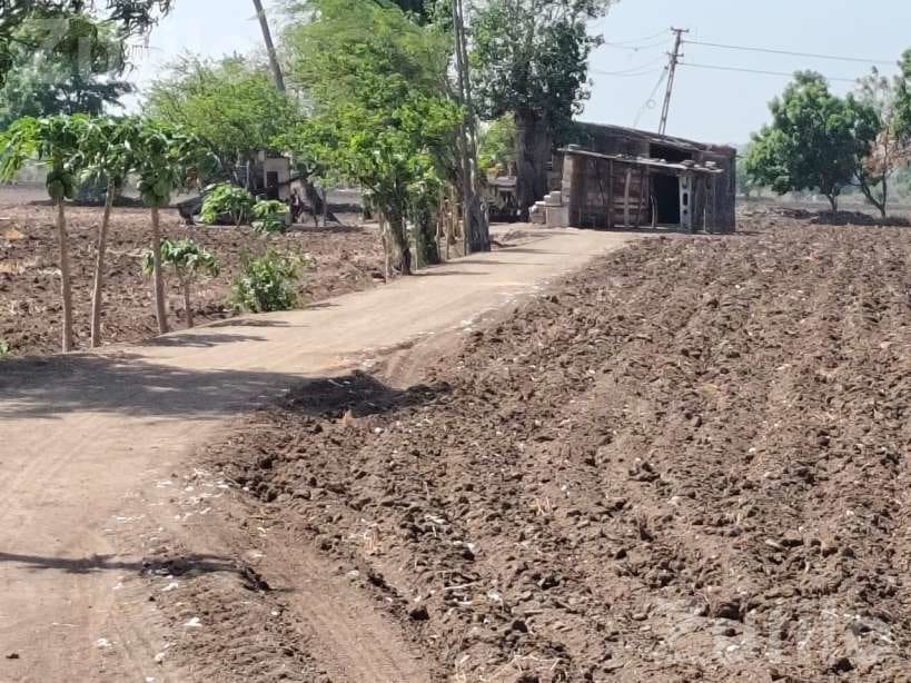 40 Vigha Agricultural Land with Farmhouse - જમીન અને પ્લોટ - જામજોધપુર - Image 4