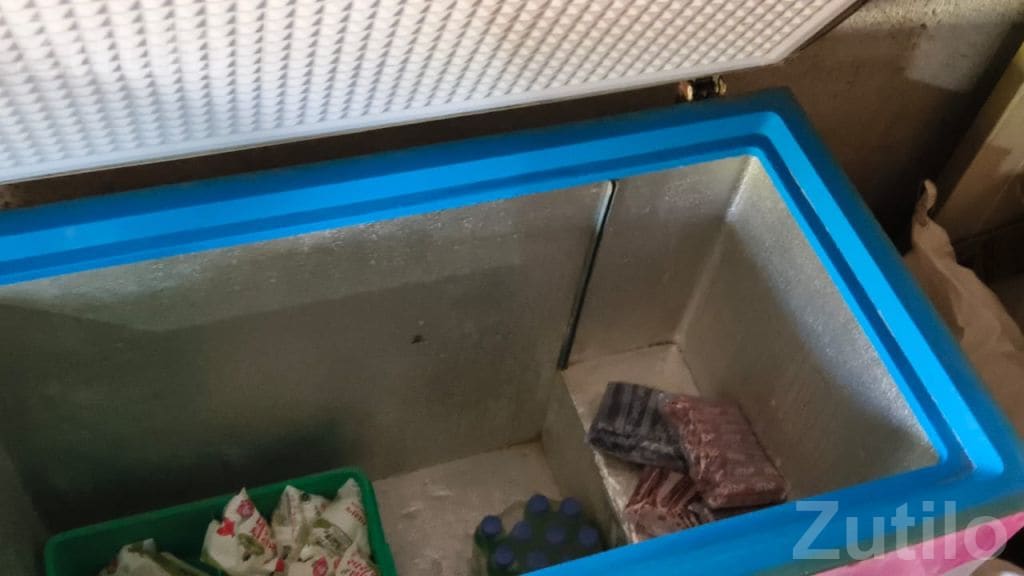 Blue Star Ice Cream Deep Freezer for Sale - ફ્રિજ - જામજોધપુર - Image 2