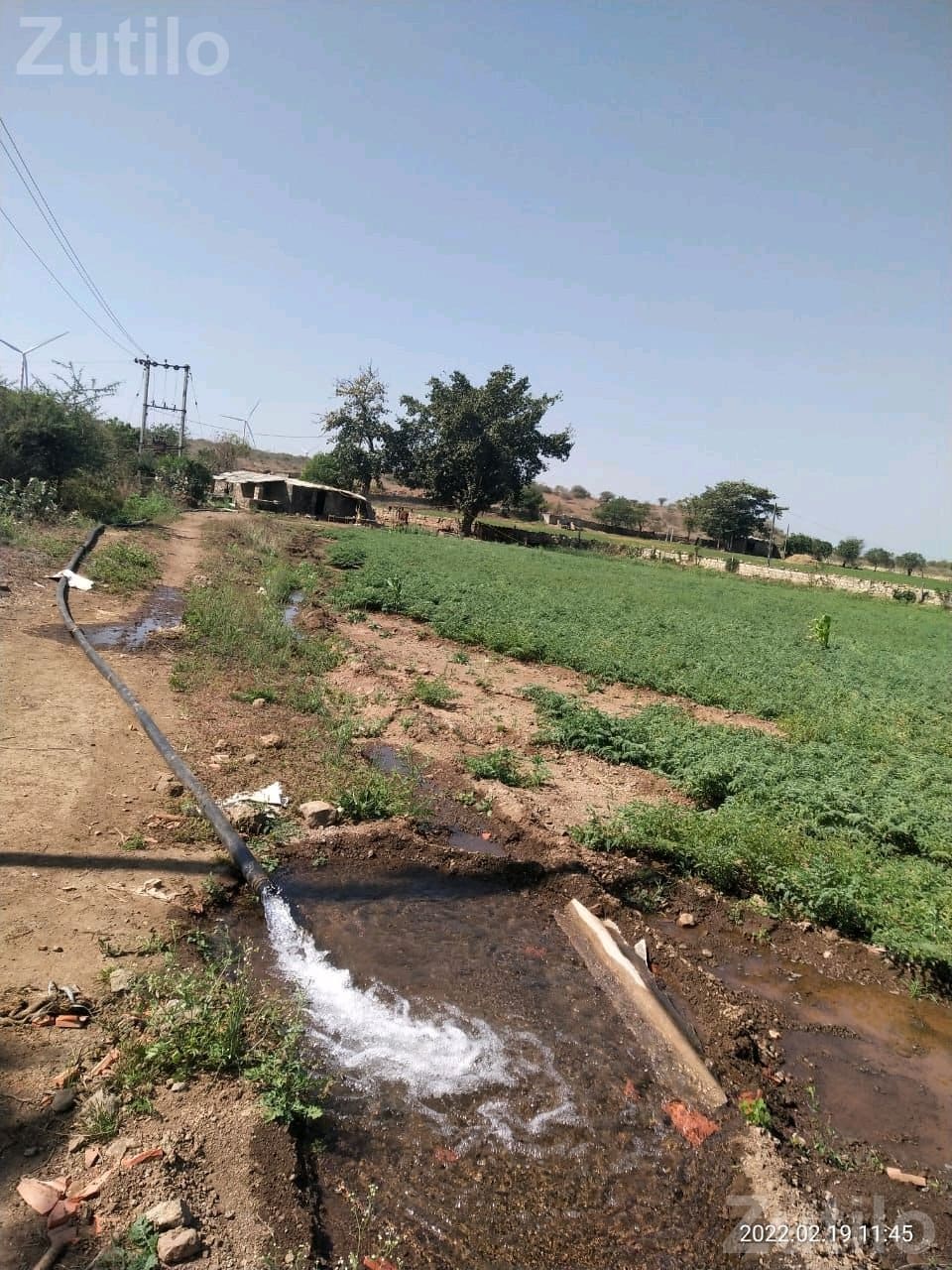 Agricultural Land for Sale 23.29 Vigha - Land & Plots - Porbandar City - Image 2