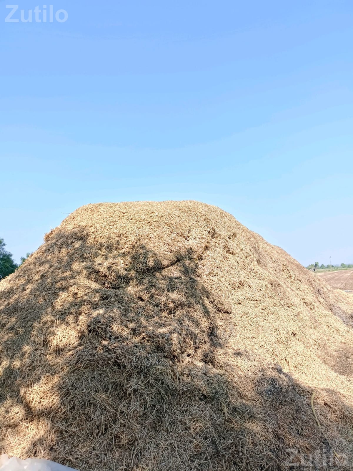 30 Vigha Agricultural Land Plot for Sale 30 Vigha Agricultural Land Plot for Sale