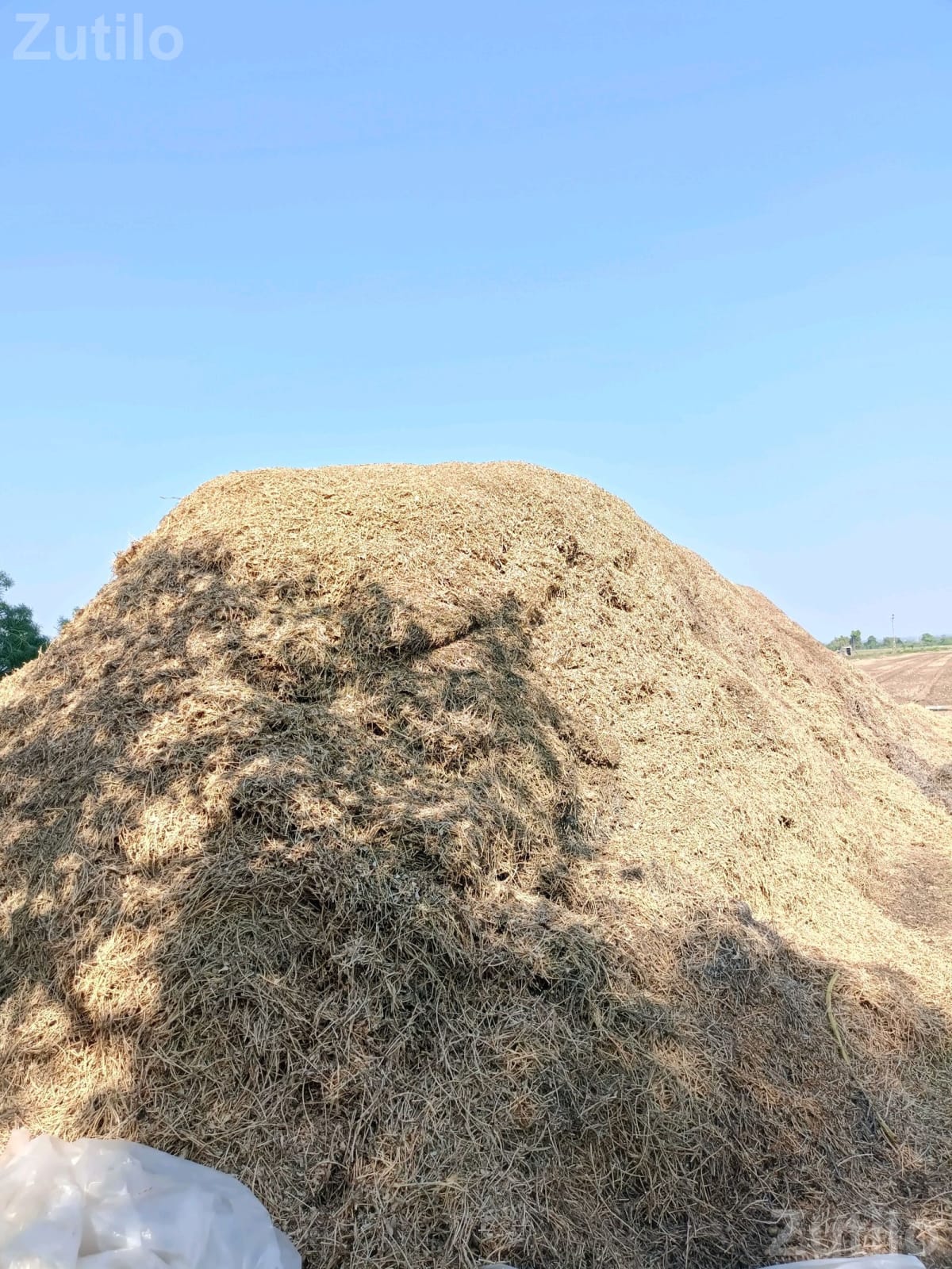 30 Vigha Agricultural Land Plot for Sale - જમીન અને પ્લોટ - ભાણવડ - Image 3