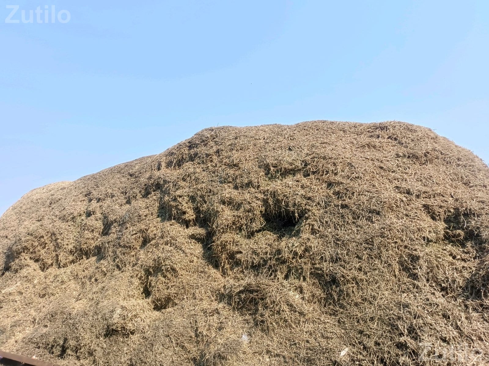 30 Vigha Agricultural Land Plot for Sale - જમીન અને પ્લોટ - ભાણવડ - Image 4