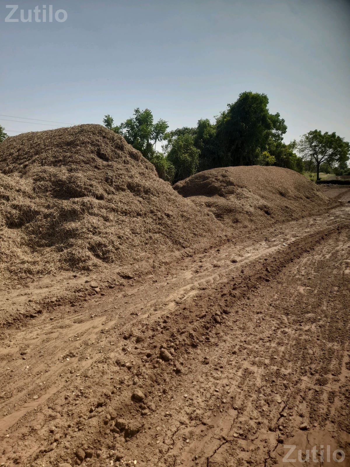 15 Vigha Agricultural Land Plot for Sale - જમીન અને પ્લોટ - કલ્યાણપુર - Image 3