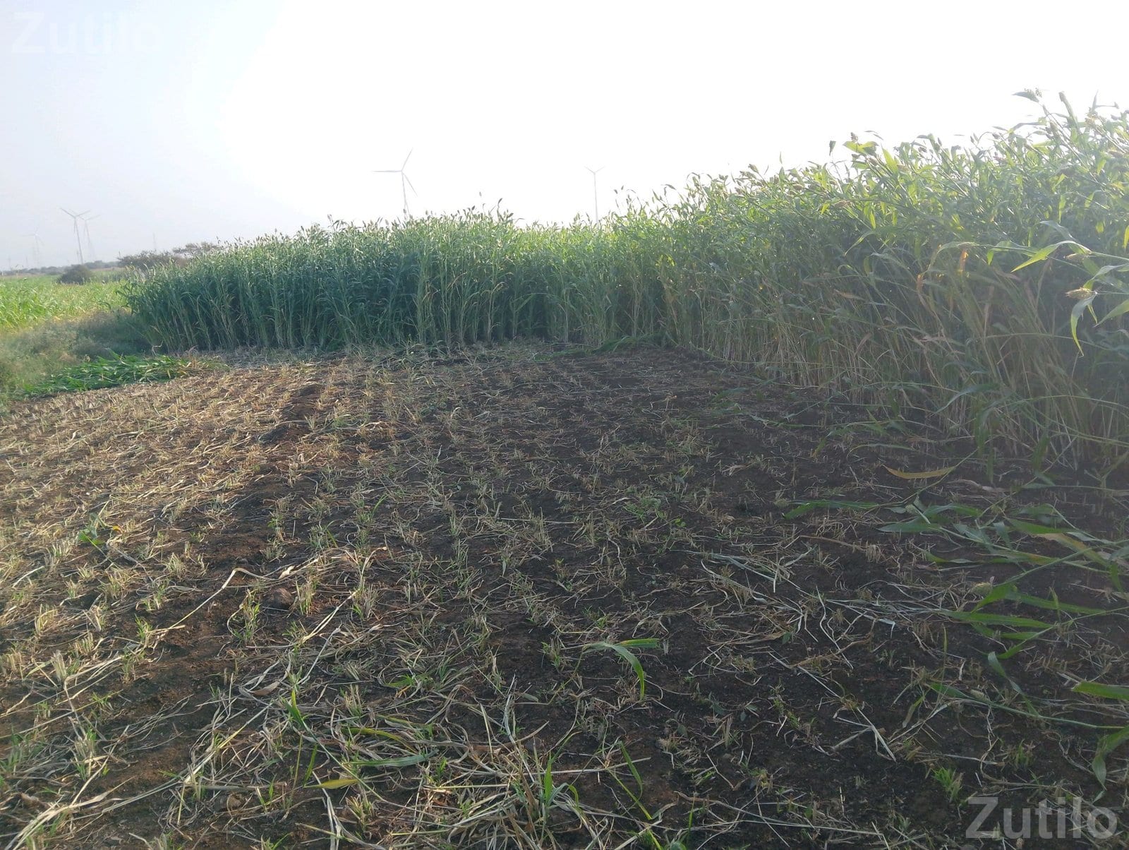7 Bigha Agricultural Land Plot for Sale 7 Bigha Agricultural Land Plot for Sale