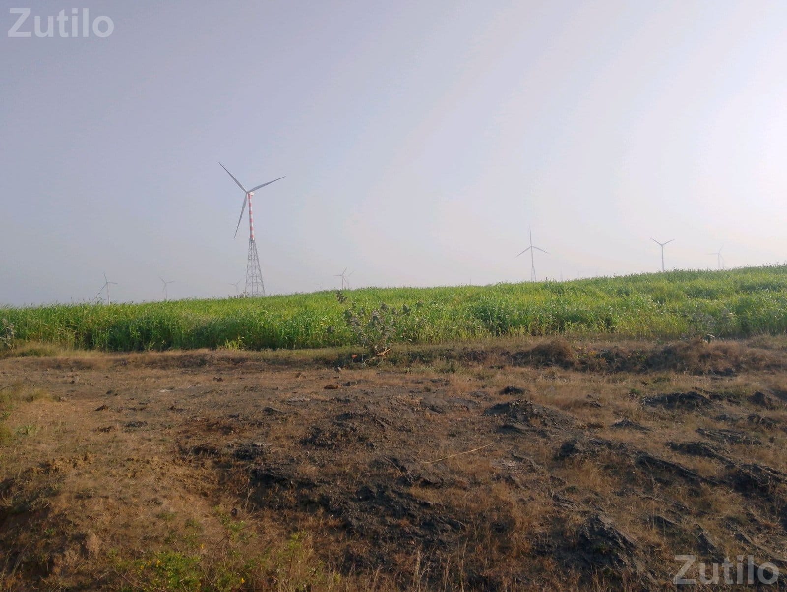 7 Bigha Agricultural Land Plot for Sale - જમીન અને પ્લોટ - ખંભાળિયા - Image 2
