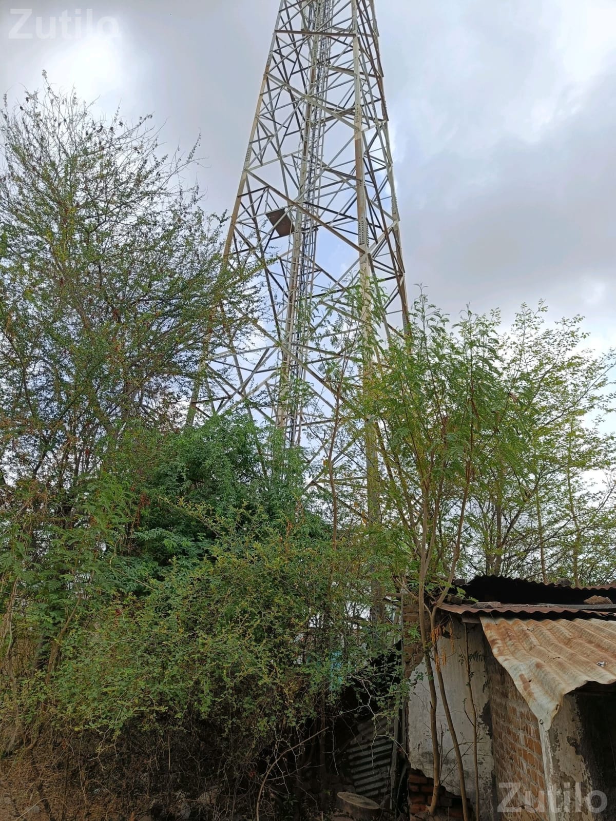 Non-Agricultural Road Touch Land 25000 Sq Ft - જમીન અને પ્લોટ - ગોધરા - Image 2