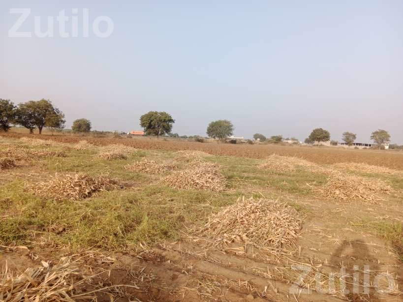 Agricultural Land for Sale Near NH 27 - જમીન અને પ્લોટ - ભુજ - Image 4