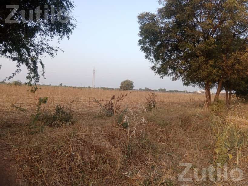 Agricultural Land for Sale Near NH 27 - જમીન અને પ્લોટ - ભુજ - Image 5