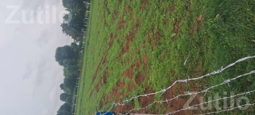 28 Guntha Open Land Plot for Sale - જમીન અને પ્લોટ - દહેગામ - Image 5