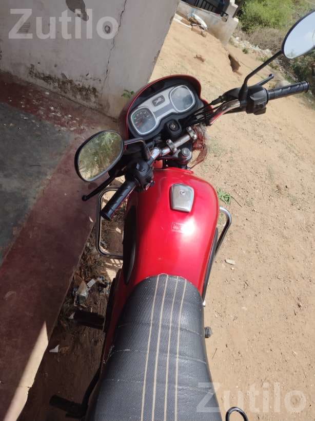 2019 TVS Radeon BS4 Bike - બાઇક્સ - કપડવંજ - Image 4