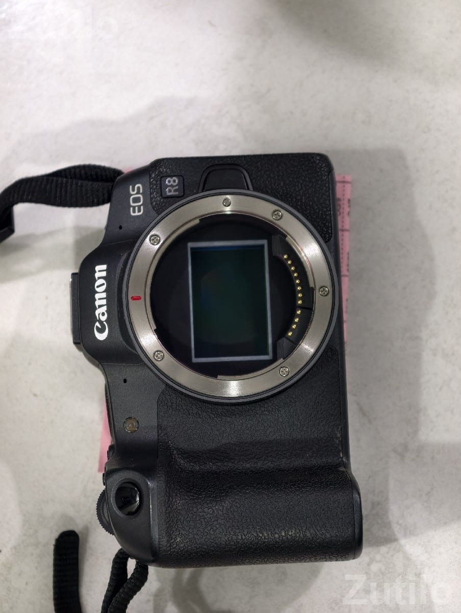 Canon EOS R8 Body with 100-400mm Lens