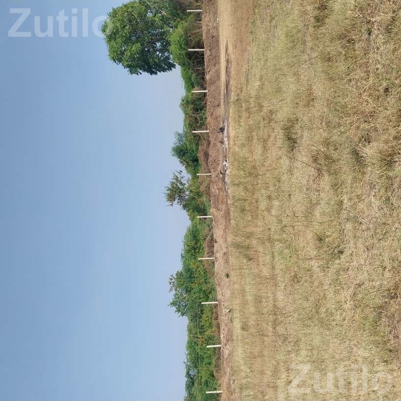 9 Vigha Agricultural Land with Water and Fencing