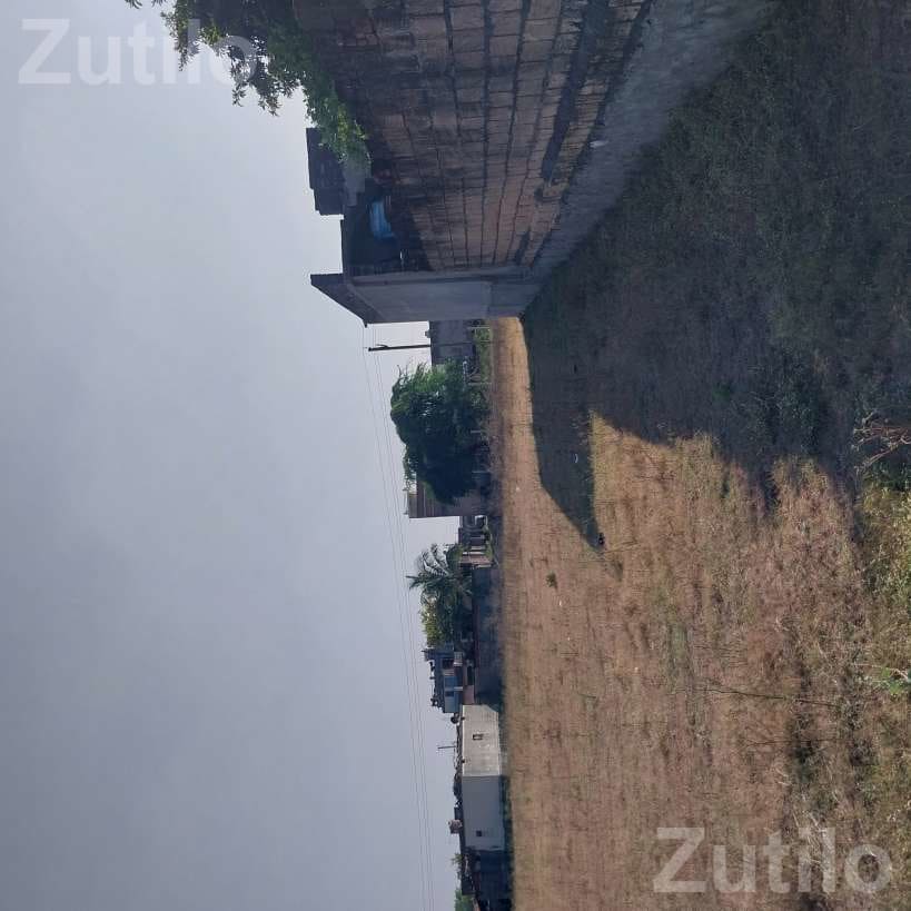 9 Vigha Agricultural Land with Water and Fencing - જમીન અને પ્લોટ - કુંકવાવ - Image 2