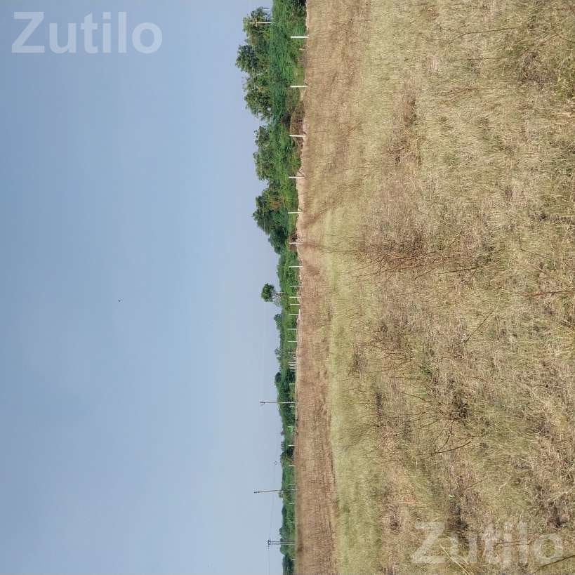 9 Vigha Agricultural Land with Water and Fencing - જમીન અને પ્લોટ - કુંકવાવ - Image 3