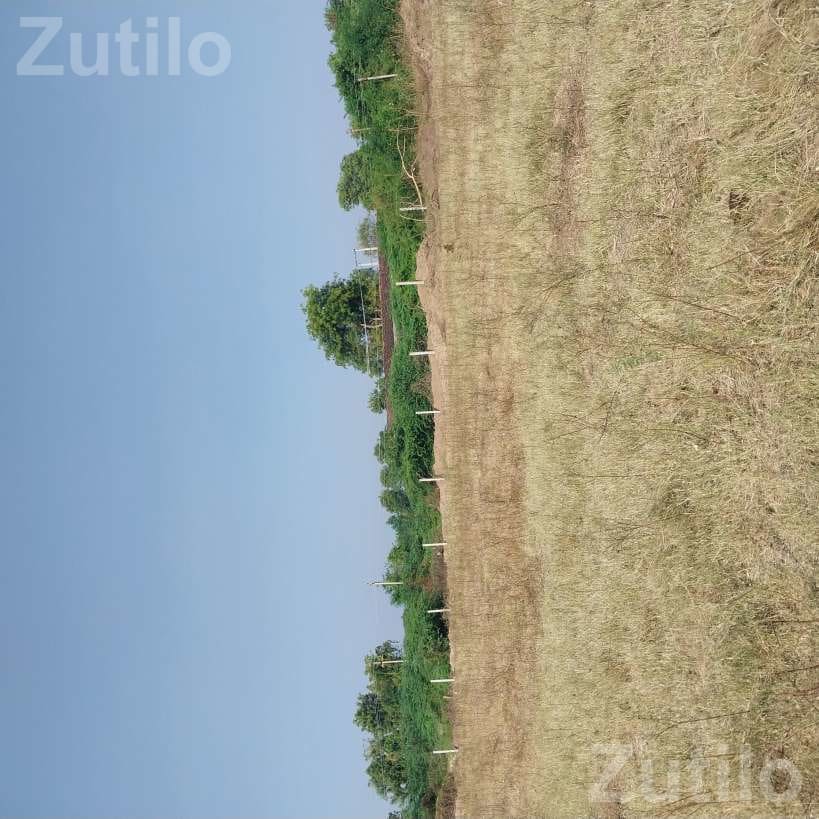 9 Vigha Agricultural Land with Water and Fencing - જમીન અને પ્લોટ - કુંકવાવ - Image 4
