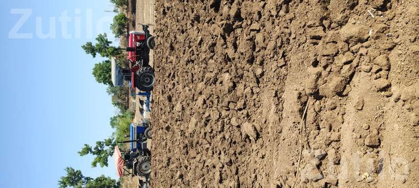 80 Vigha Agricultural Land for Share Farming - Land & Plots - Jesar - Image 3