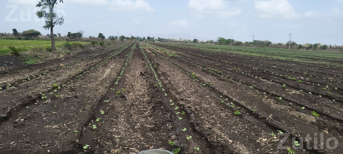 Agricultural Land Plot Available for Sale