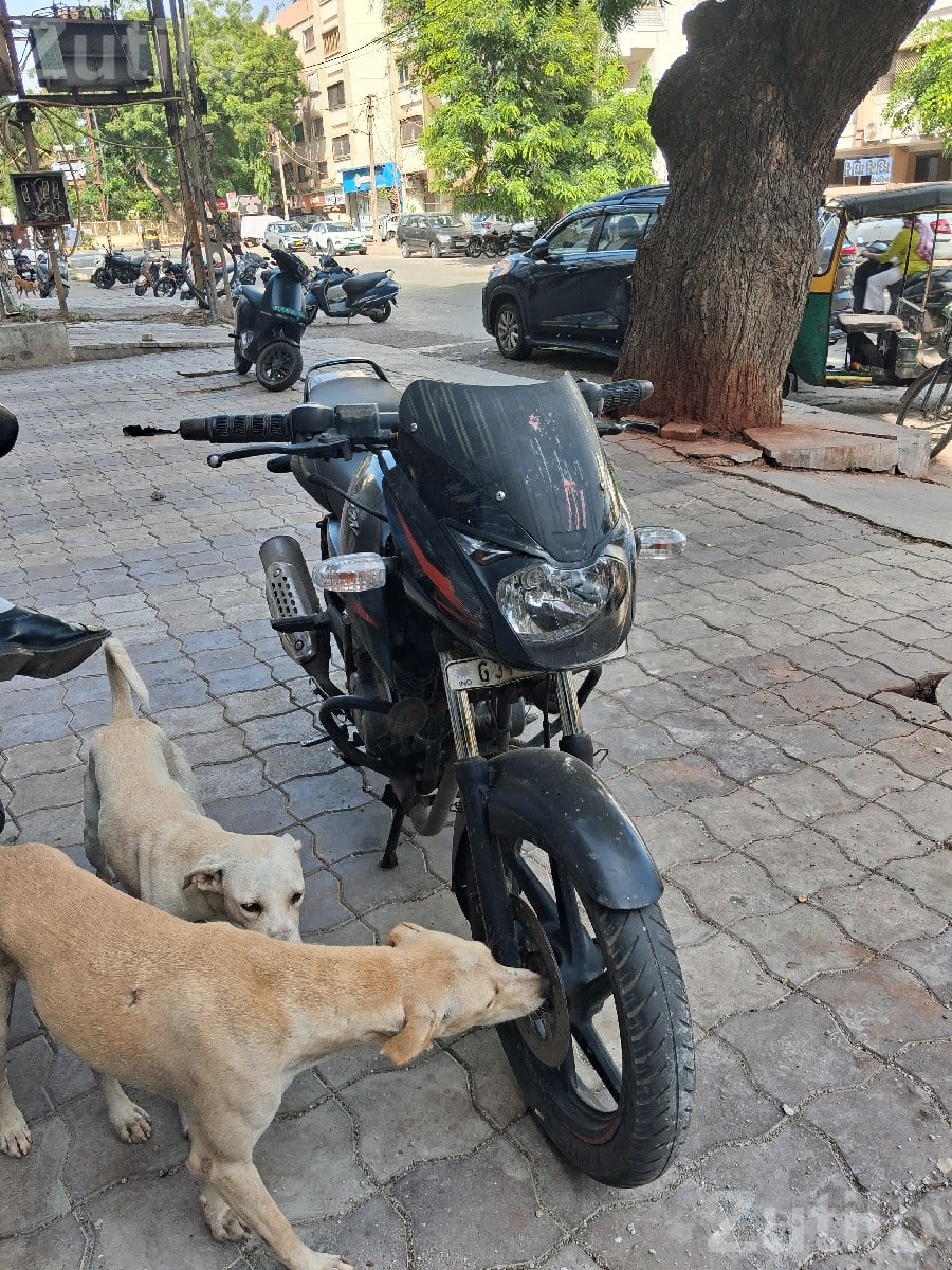 2019 Bajaj Pulsar 150 Self Start Bike - Bikes - Jamnagar City - Image 3
