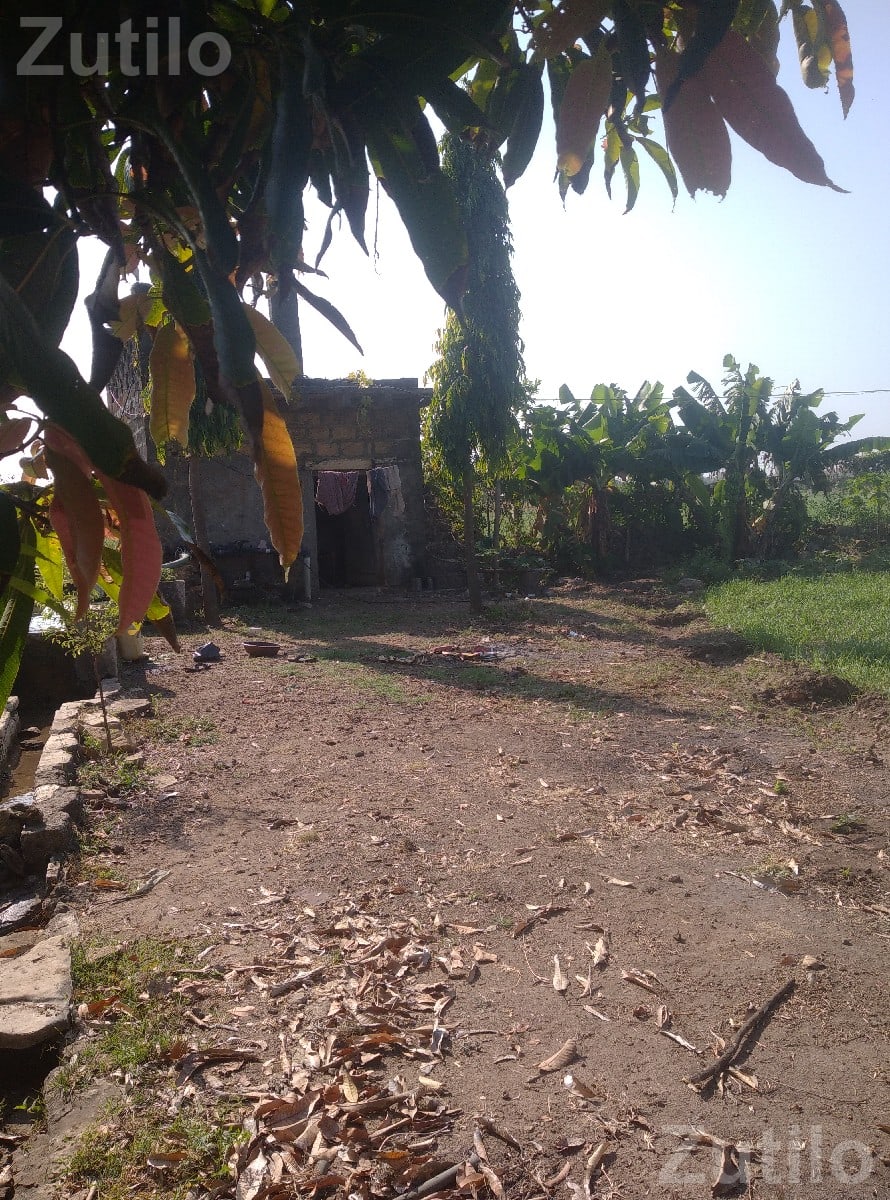 16 Vigha Fertile Agricultural Land for Sale - જમીન અને પ્લોટ - સુત્રાપાડા - Image 3